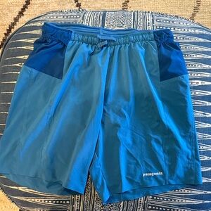 Patagonia Vibrant Blue Performance Shorts